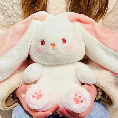 Lapin Câlin